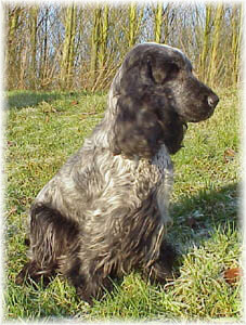 Mable